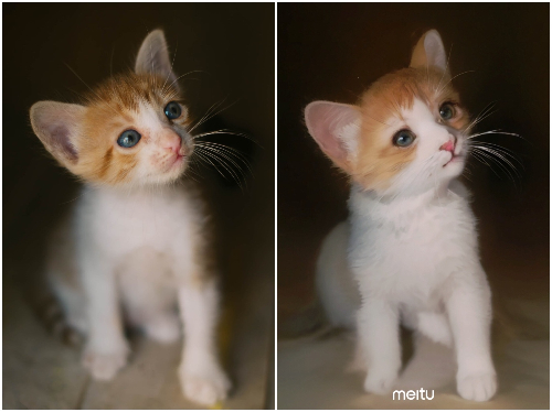 ←Before After→
