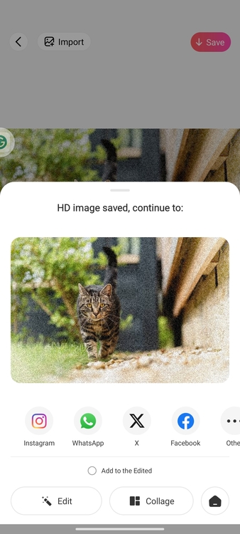 Using BeautyPlus to Add Grainy Photo Filter&nbsp;05