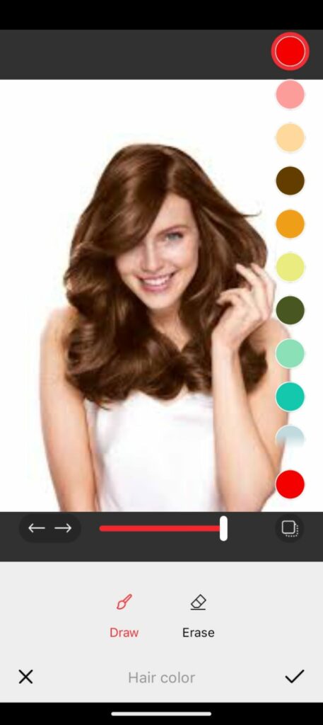 Hair Color Changer