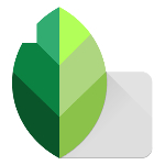 Top 8 Watermark Remover apps-snapseed-app-logo
